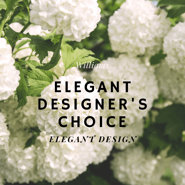 Elegant Designer's Choice