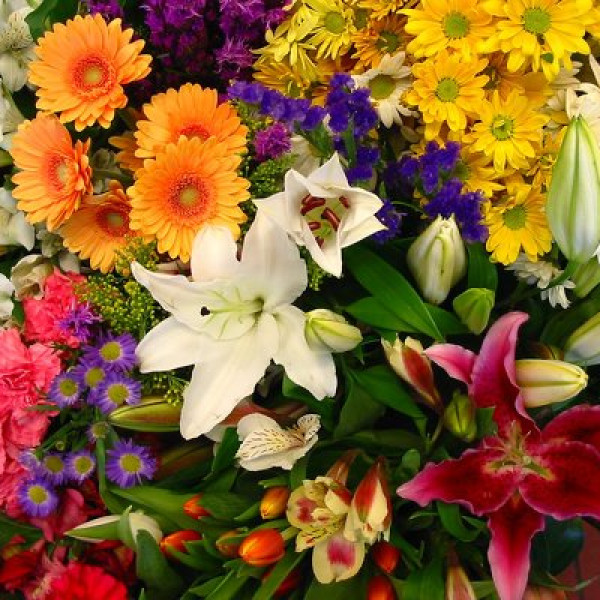Birthday - Birthday Flowers, Birthday Gifts, Florist Tacoma WA ...