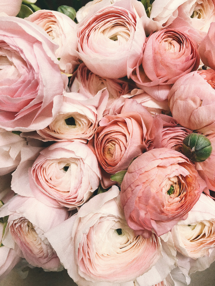 Union Hill Flower Shop