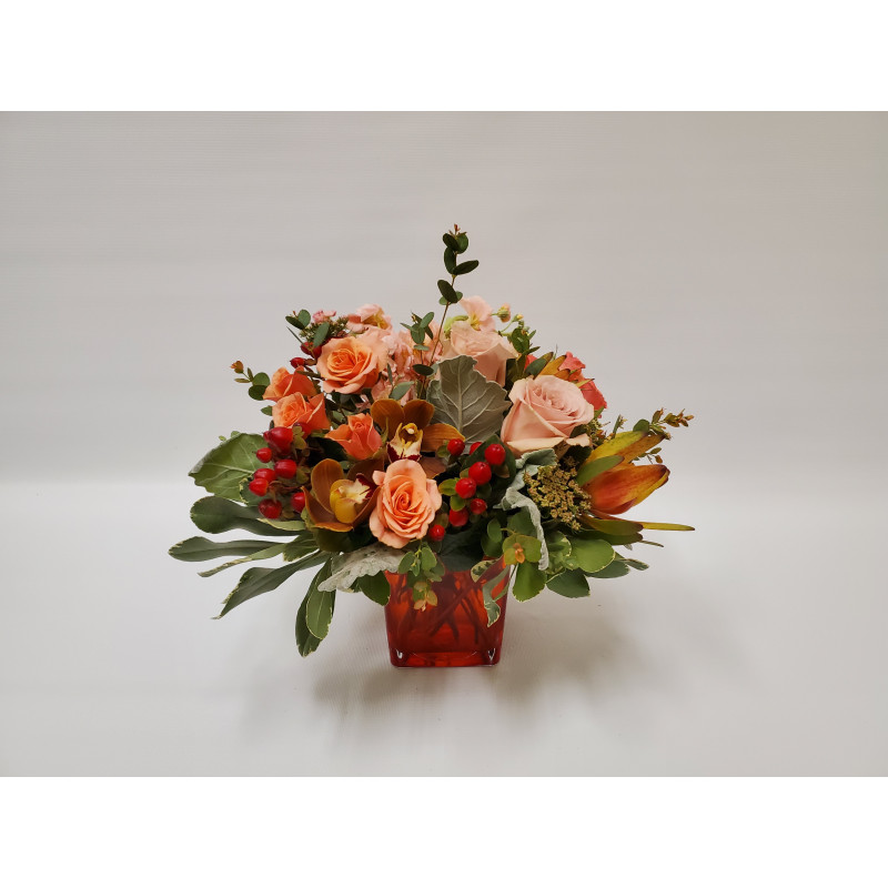 Tangerine Crush - Same Day Delivery