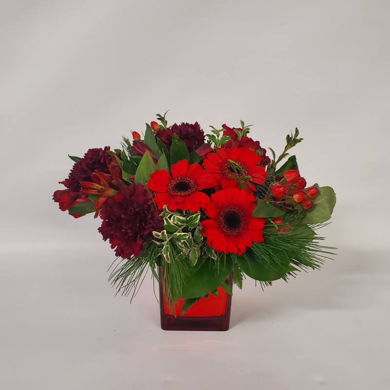 Ruby Radiance - Same Day Delivery