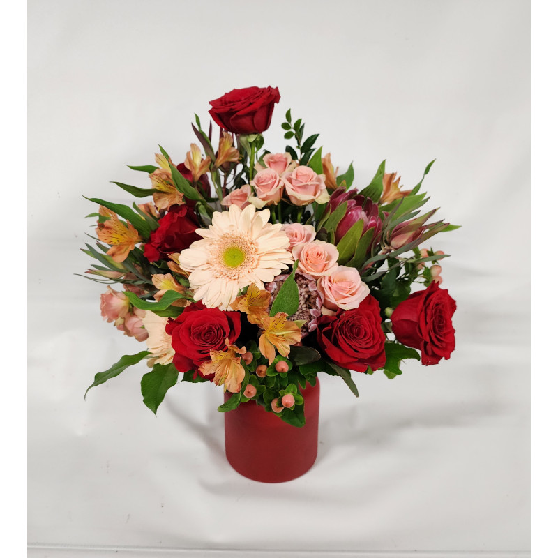 Crimson Blush  - Same Day Delivery