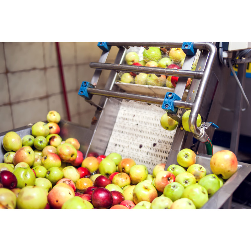 Fruit Bundle - Same Day Delivery