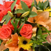 Good Quality Flower Floral Roses Birthday card Tallon  Female Friend 