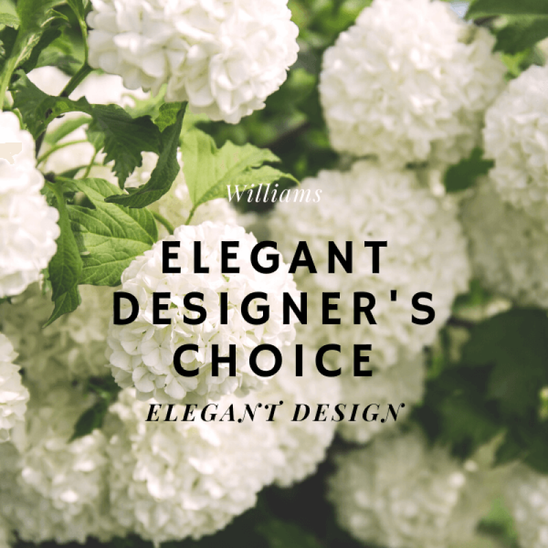 Elegant Designer