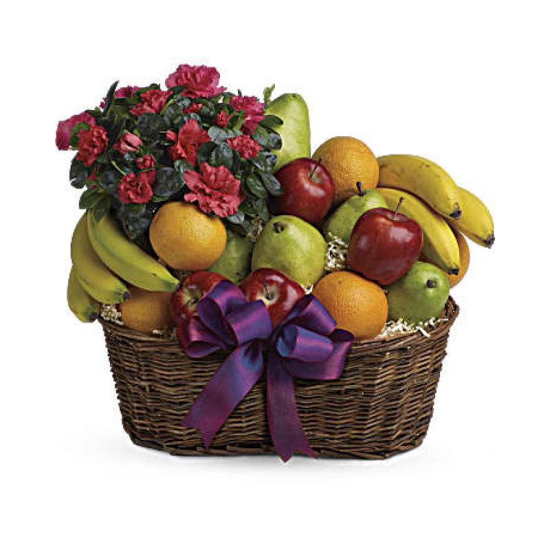Fruits & Blooms - Same Day Delivery