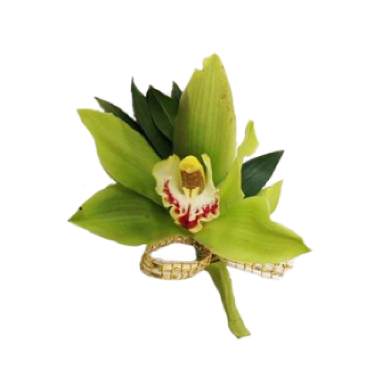 Cymbidium Boutonniere - Same Day Delivery