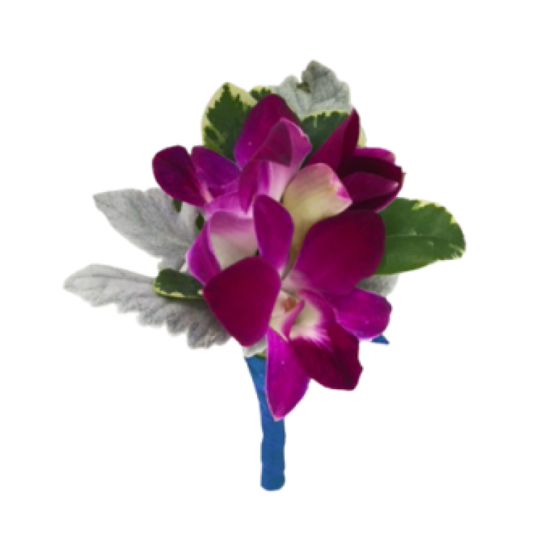 Orchid Boutonniere - Same Day Delivery