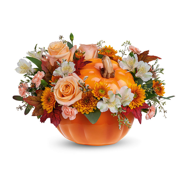 Hello Pumpkin - Same Day Delivery