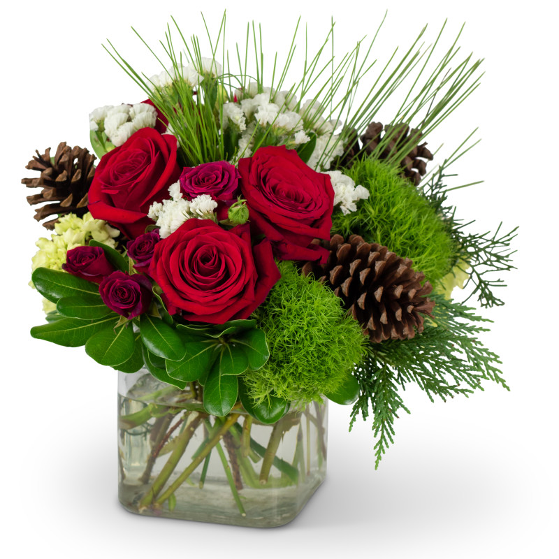 Holiday Blooms - Same Day Delivery