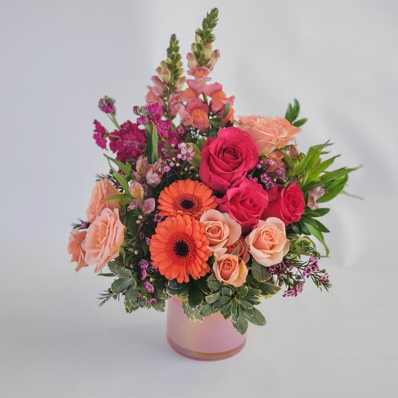 Apricot Garden - Same Day Delivery
