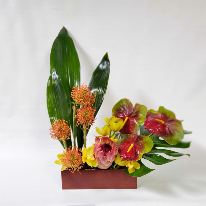 Exotic Love - Same Day Delivery