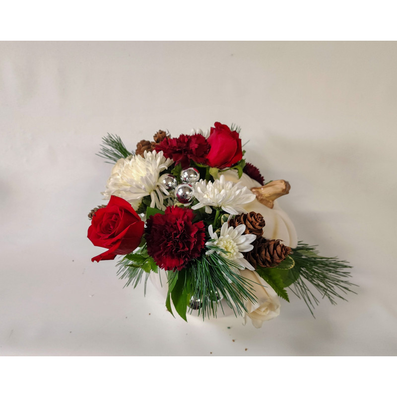 Winter Delight - Same Day Delivery