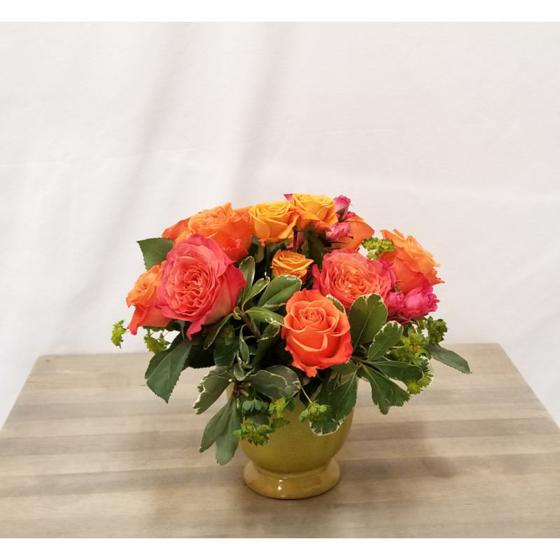 Tangerine Fields Forever - Same Day Delivery