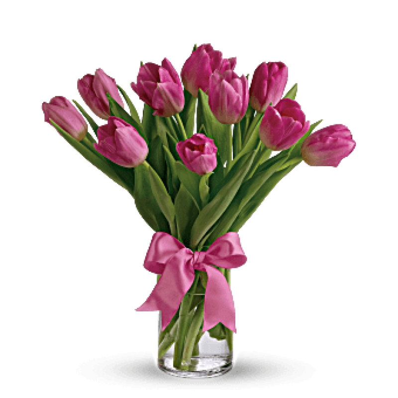 Precious Pink Tulips - Same Day Delivery