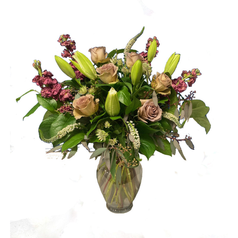 Moonlight Persuasion - Same Day Delivery