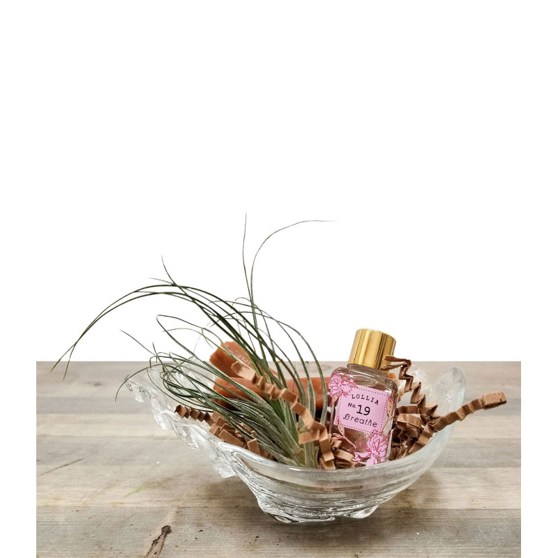 Lollia by the Sea - Same Day Delivery