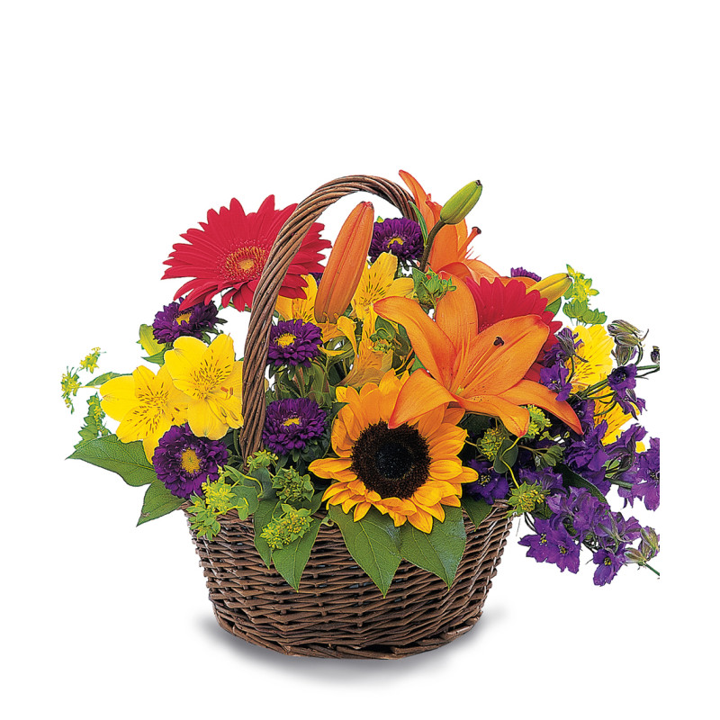 Spirited Basket - Same Day Delivery