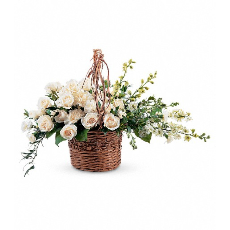 Basket of Light - Same Day Delivery