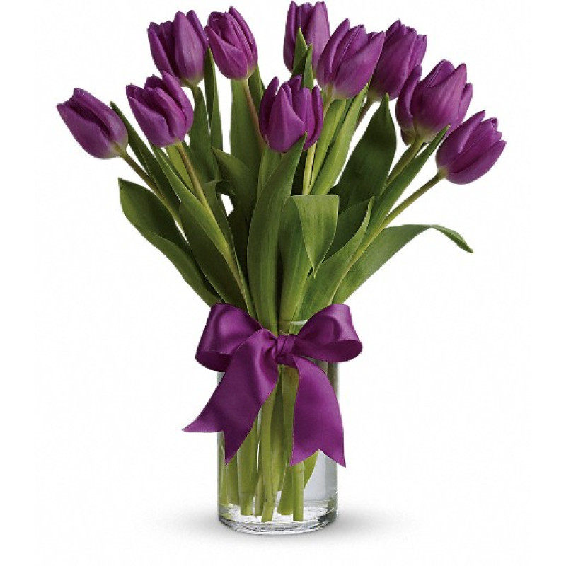 Passionate Purple Tulips - Same Day Delivery