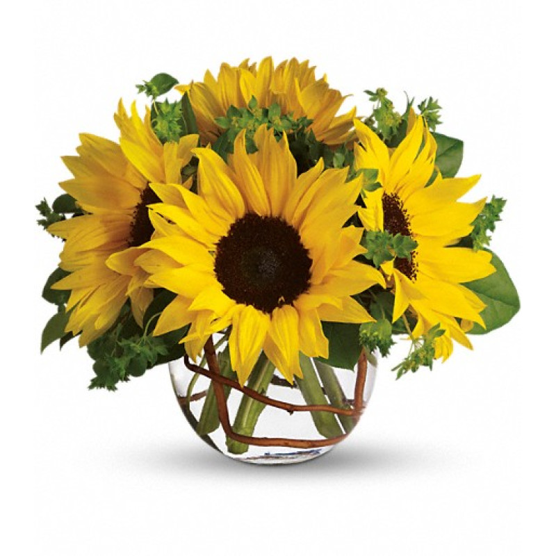 Sunny Sunflowers - Same Day Delivery