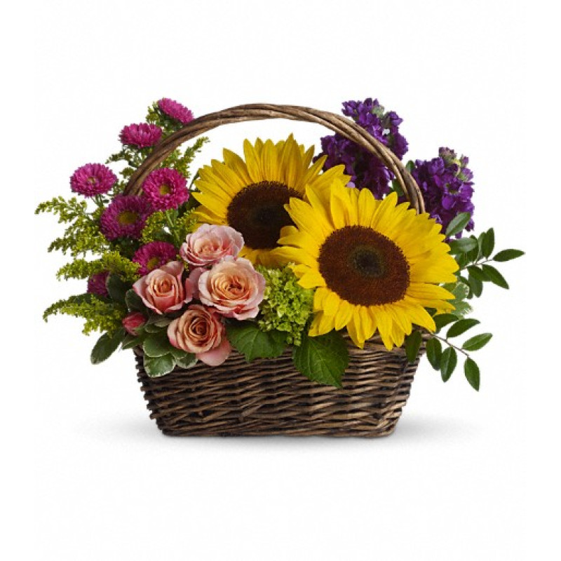 Picnic in the Park - Same Day Delivery