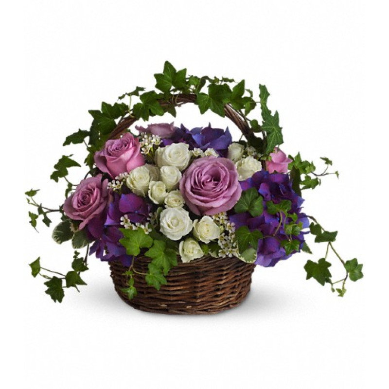 A Full Life - Same Day Delivery