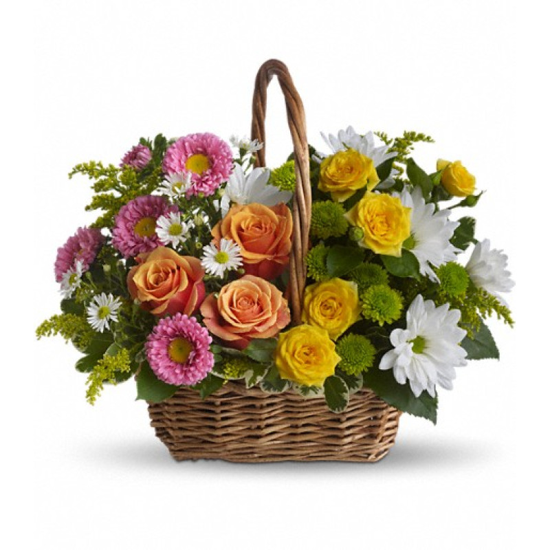 Sweet Tranquility Basket - Same Day Delivery
