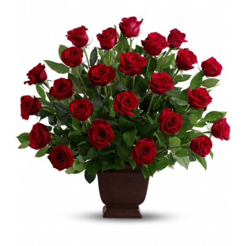 Rose Tribute - Same Day Delivery