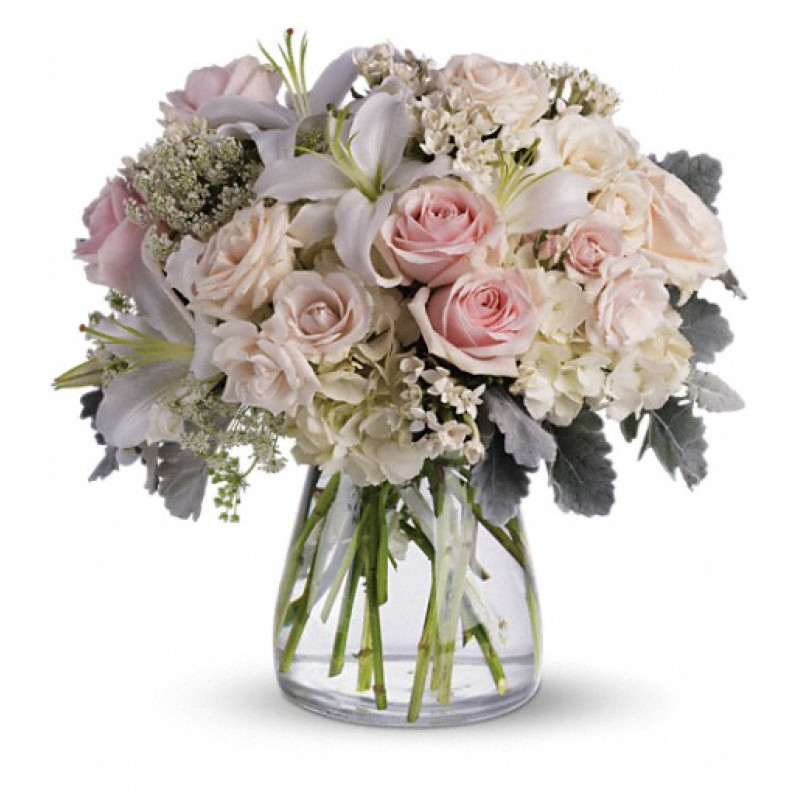 Beautiful Whisper - Same Day Delivery
