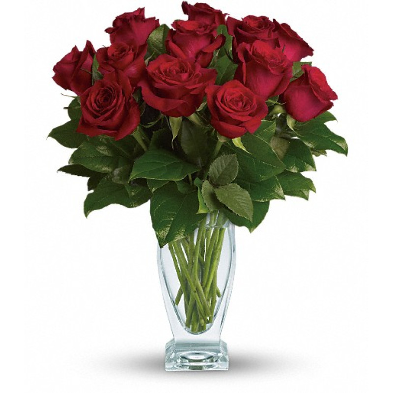 Dozen Red Roses - Same Day Delivery