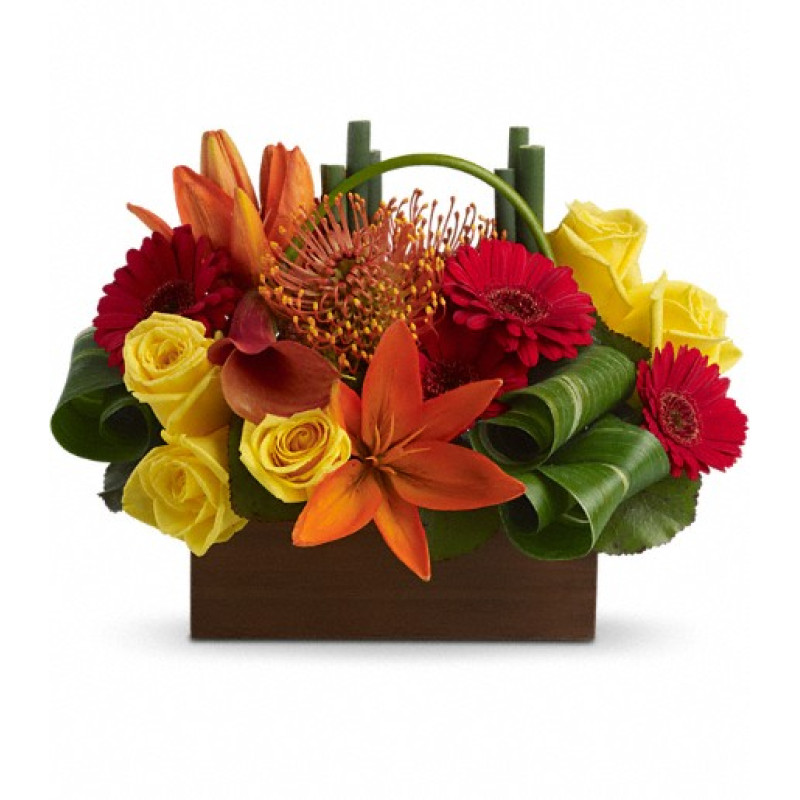 Bamboo Getaway - Same Day Delivery