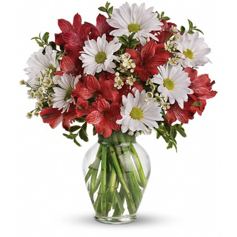 Dancing in Daisies - Same Day Delivery