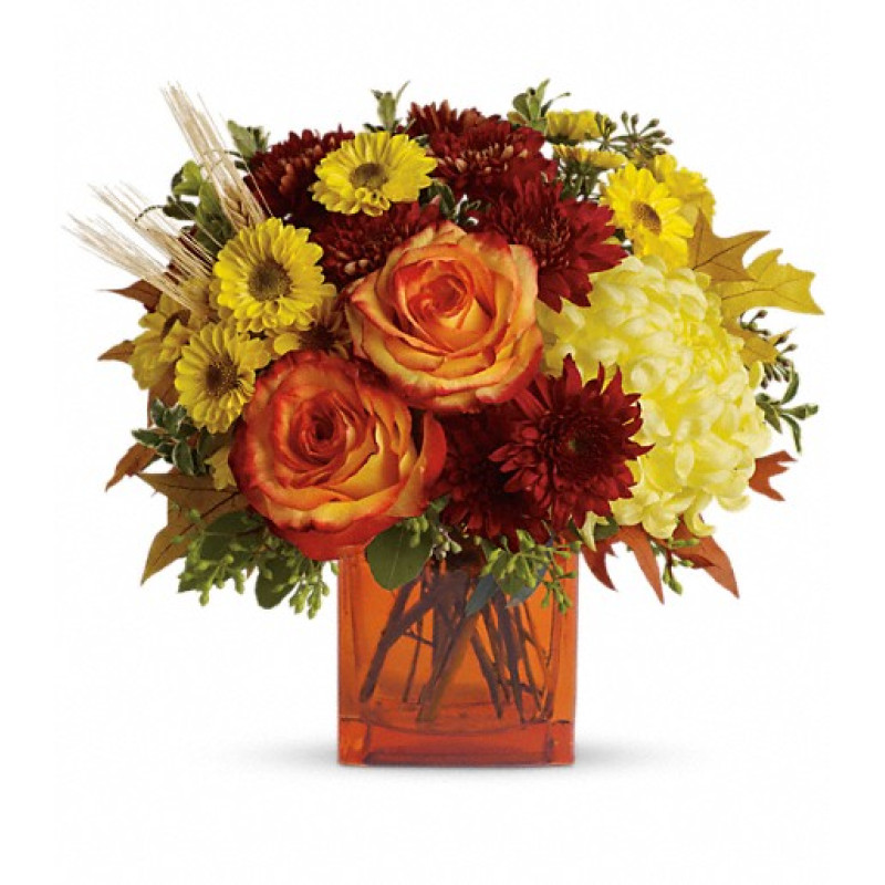 Autumn Fun - Same Day Delivery