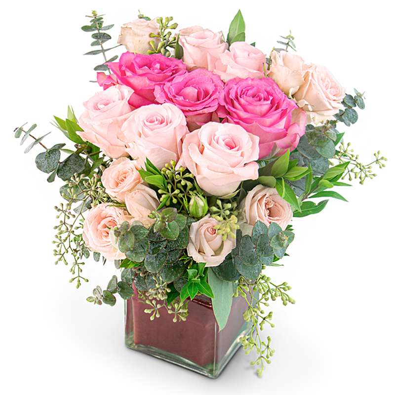 Lovely Dreams - Same Day Delivery