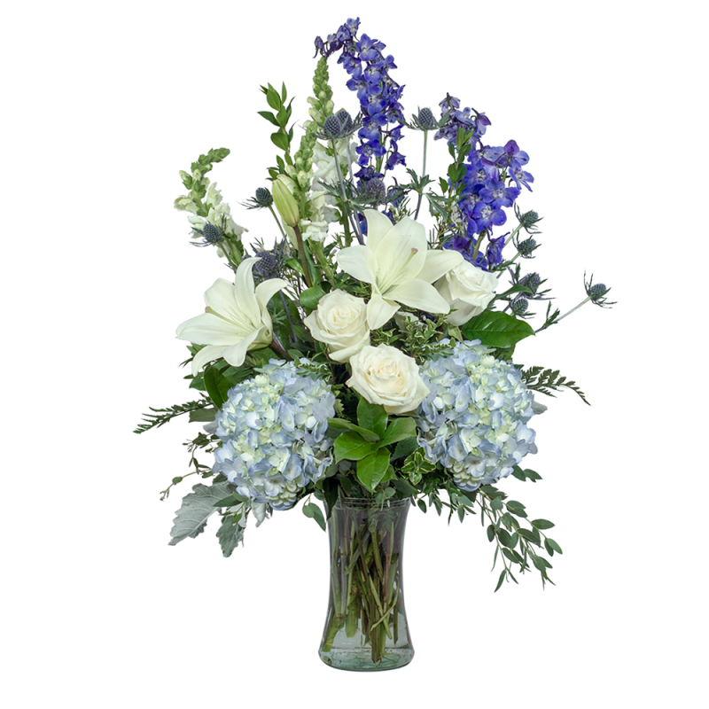 Blue Beauty - Same Day Delivery