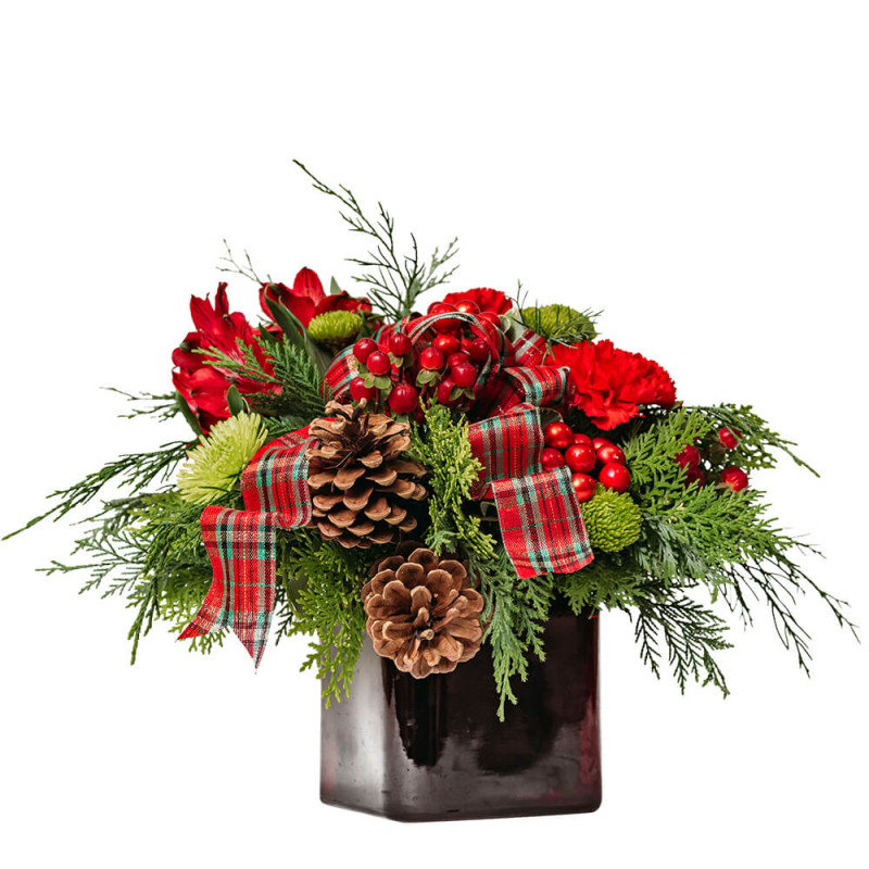 Winter Plaid - Same Day Delivery