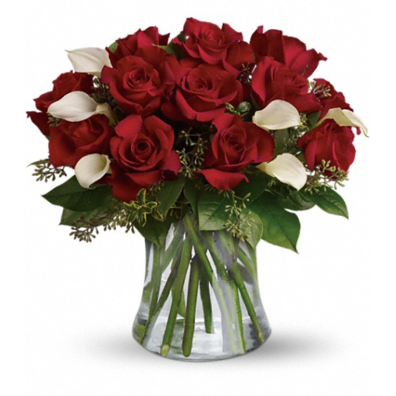 Be Still My Heart - Same Day Delivery