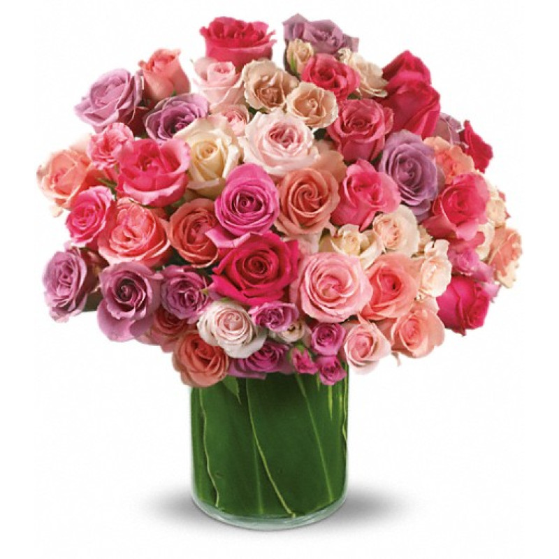 Rose Rapture - Same Day Delivery