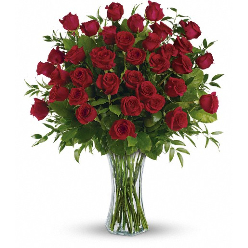 Breathtaking Beauty - 3 Dozen Long Stemmed Roses - Same Day Delivery