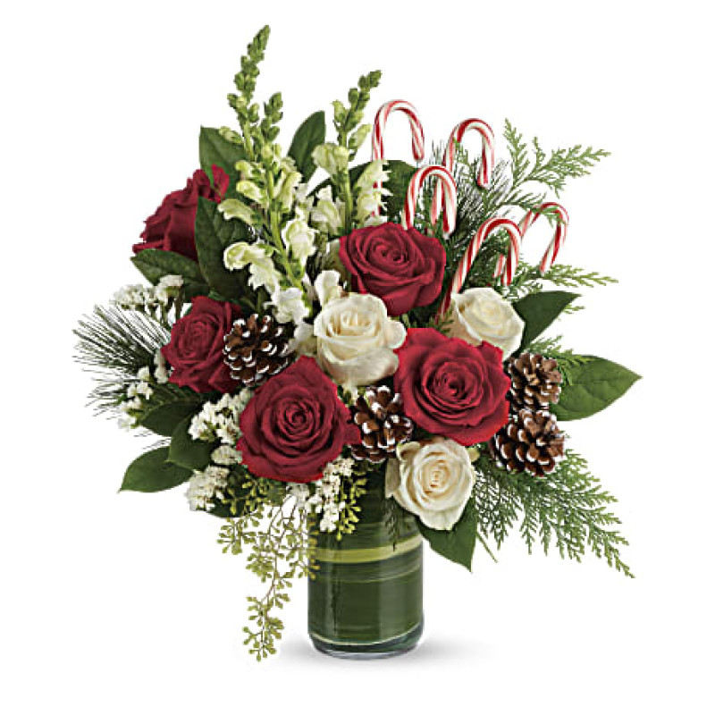 Festive Pines of Silverdale - Same Day Delivery