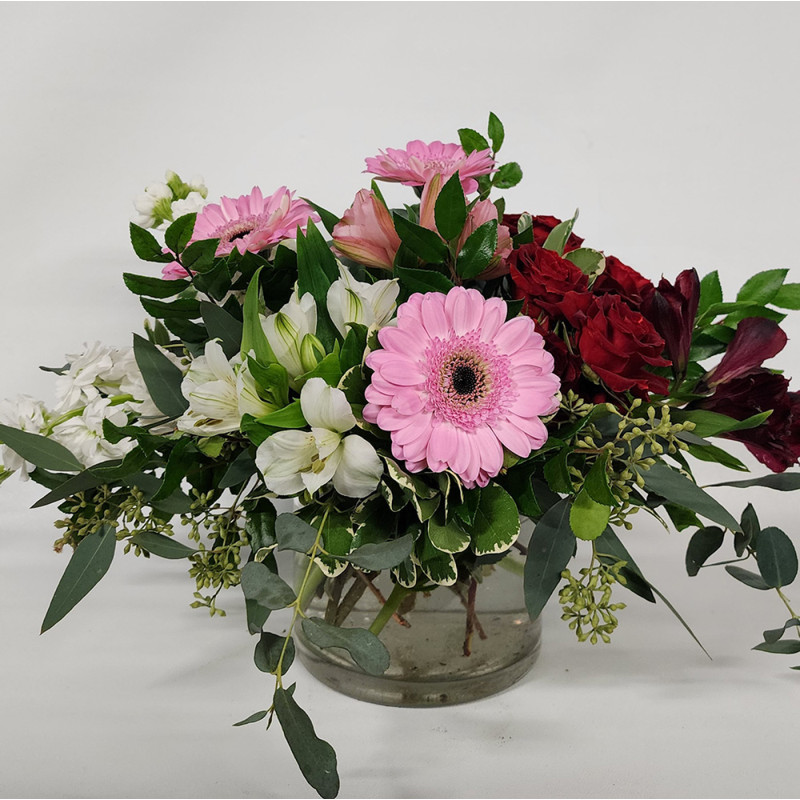 Tender Love - Same Day Delivery