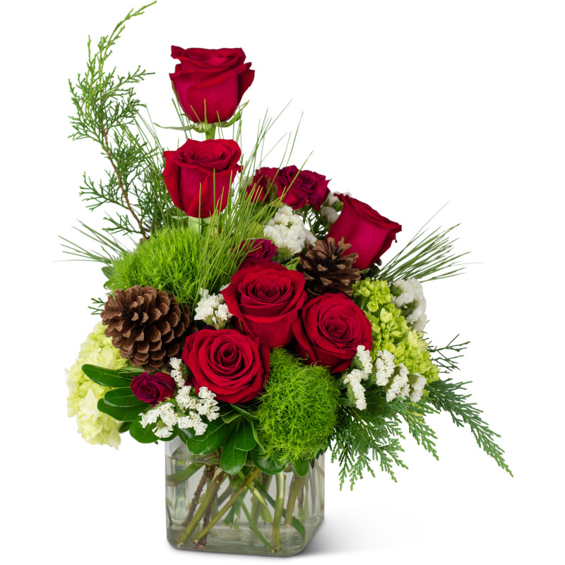 Wintertime Sentiments - Same Day Delivery