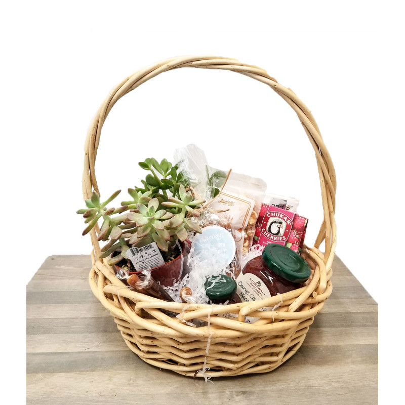 Sweets and Succulents - Same Day Delivery