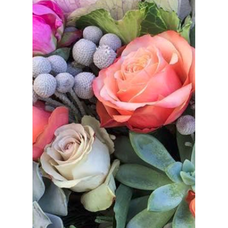 Luxury Design - 3 month - Same Day Delivery