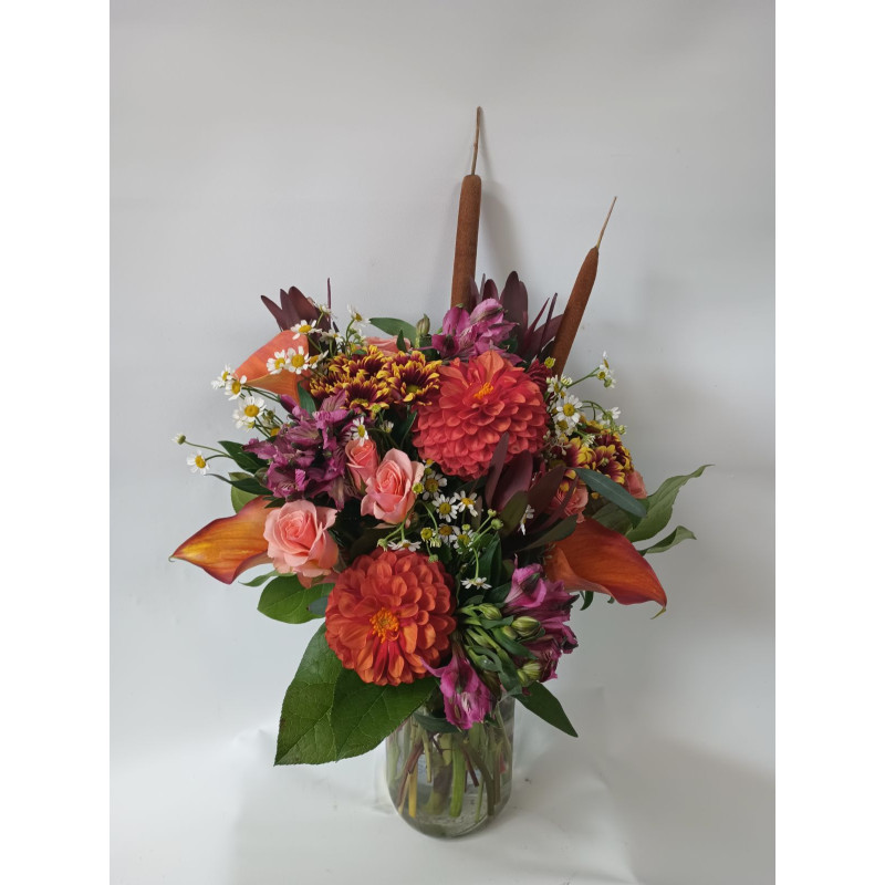 Harvest Moon - Same Day Delivery