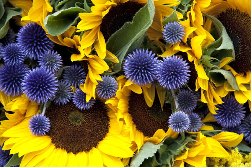 Port Orchard Flower Shop