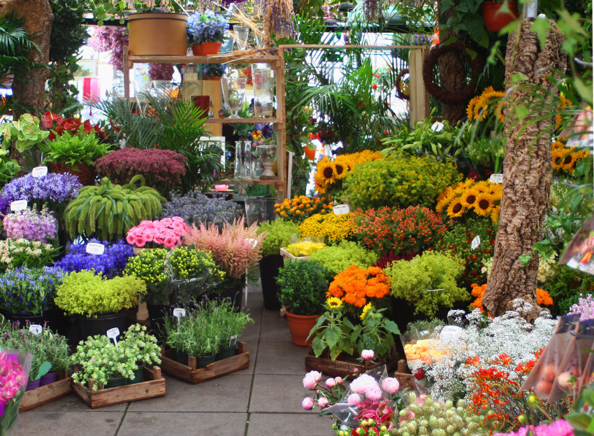 Tacoma Flower Shop