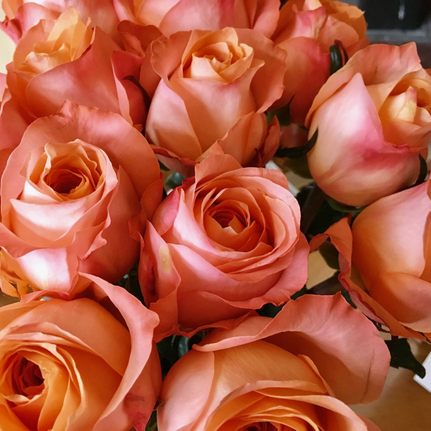 Sammamish Flower Shop
